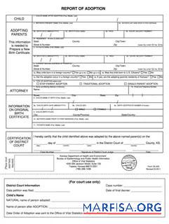 Printable USA report of adoption download for verification